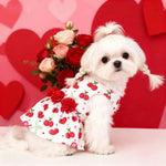 Valentine's Day Pet Princess Dress Cute Skirt Outfit for Small and Medium Dog and Cat - GreenFur
