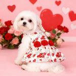 Valentine's Day Pet Princess Dress Cute Skirt Outfit for Small and Medium Dog and Cat - GreenFur