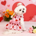 Valentine's Day Pet Princess Dress Cute Skirt Outfit for Small and Medium Dog and Cat - GreenFur