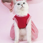 Valentine's Day Princess Dress Summer Cat Clothing Valentine Theme Outfit - GreenFur