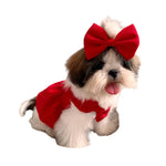Valentine's Day Red Corduroy Dog Dress with Matching Hair Clip - GreenFur