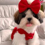 Valentine's Day Red Corduroy Dog Dress with Matching Hair Clip - GreenFur