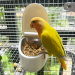 Wall Mounted Parrot Toilet Removable Plastic Tray for Small Birds Feeding or Waste Management - GreenFur