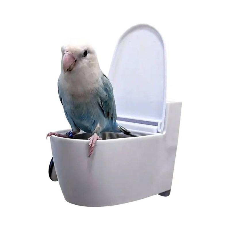 Wall Mounted Parrot Toilet Removable Plastic Tray for Small Birds Feeding or Waste Management - GreenFur