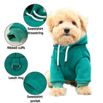 Warm Hooded Cotton Sweatshirt for Small and Medium Dogs - GreenFur