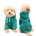 Warm Hooded Cotton Sweatshirt for Small and Medium Dogs - GreenFur