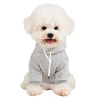 Warm Hooded Cotton Sweatshirt for Small and Medium Dogs - GreenFur