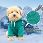 Warm Hooded Cotton Sweatshirt for Small and Medium Dogs - GreenFur