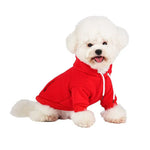Warm Hooded Cotton Sweatshirt for Small and Medium Dogs - GreenFur