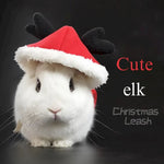 Warm Rabbit Outfit with Leather Leash Christmas New Year Thickened Clothing - GreenFur