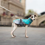 Warm Windproof Thick Dog Jacket Fall Winter Pet Clothing - GreenFur