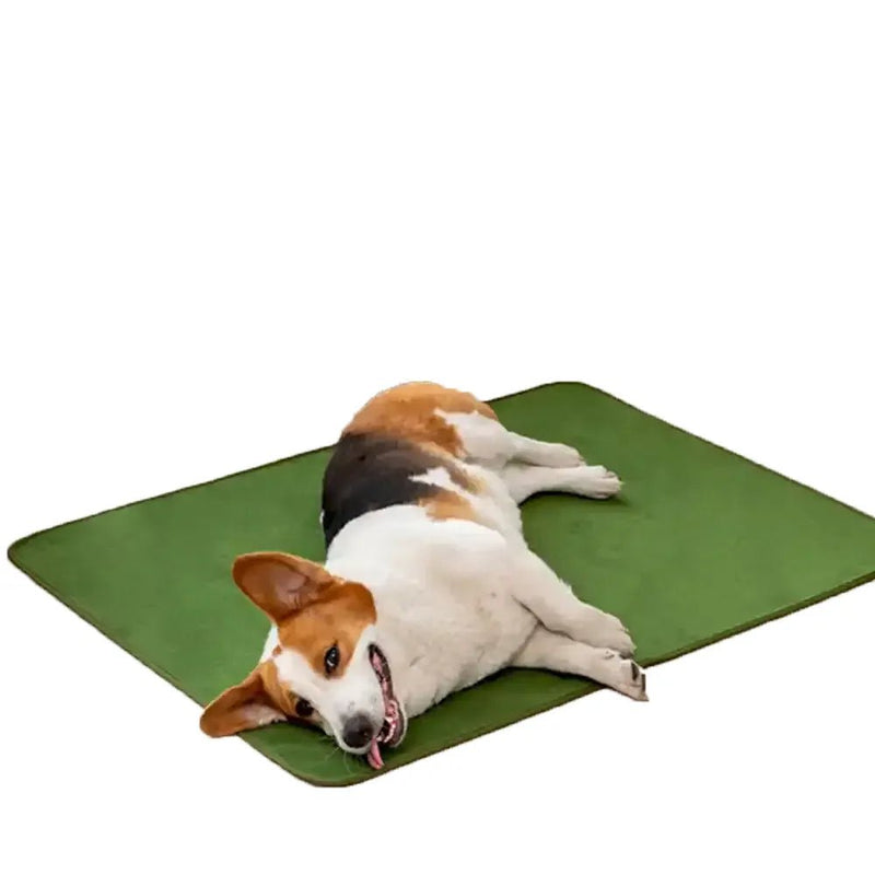 Washable Pet Mats for Dogs and Cats Anti - Slip Pet Seat Cover - GreenFur