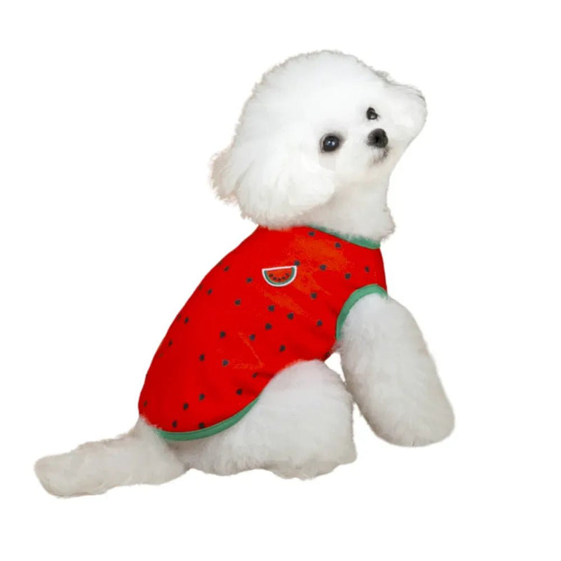 Watermelon Pineapple Print Breathable Thin Summer Dog Clothing - GreenFur