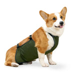 Waterproof Breathable Summer Dog Belly Band Protection - GreenFur