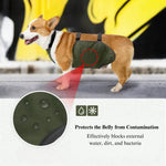 Waterproof Breathable Summer Dog Belly Band Protection - GreenFur
