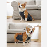 Waterproof Breathable Summer Dog Belly Band Protection - GreenFur