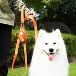 Waterproof Hands - Free Dog Poop Bag Dispenser with Carabiner - GreenFur