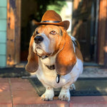Western Cowboy Hat for Dogs Perfect Pet Cosplay Accessory - GreenFur
