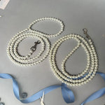 White Pearl Dog Leash for Small Dogs and Cats - GreenFur