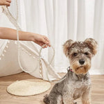 White Pearl Dog Leash for Small Dogs and Cats - GreenFur
