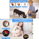 Wholesale Black Pet Slow Food Puzzle Bowl Cat Dog Slow Feed Bowl, S 6.4" × 1.8" - GreenFur