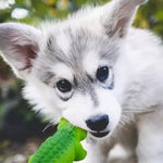 Wholesale Chew Squeaky Crocodile Shape Latex Dog Toys - GreenFur