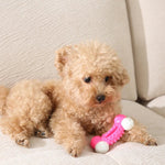 Wholesale Tough Bone Nylon Chew Dog Toys - GreenFur