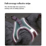 Winter Fleece Pet Reflective Harness with Leash - GreenFur