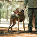 Winter Jacket for Large Dogs Outdoor Warm Coat - GreenFur