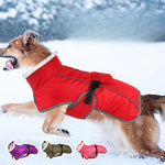 Winter Pet Jacket Waterproof Reflective Adjustable for Dogs - GreenFur