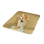 XL Size Cool Summer Mat for Large Breeds - GreenFur
