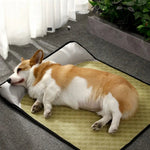 XS Size Summer Cooling Rattan Pet Mat Anti - Scratch Dog and Cat Bed Pad for Hot Weather - GreenFur
