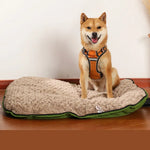 Zipper Closure Portable Foldable Outdoor Pet Bed Mat Handheld Dog and Cat Bed - GreenFur