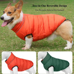 Zipper Design Reflective Strip Reversible Coat Warm Dog Jacket - GreenFur
